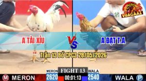 Trận 13 CPC3 28/05/2026 - Anh Đạt Có Pha Lội Ngược Dòng Ngoạn Mục
