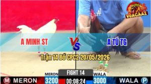 Trận 14 CPC2 20/05/2026 - Gà Bông Anh Tú TG Siết Chưa Tới 1 Tay Nước