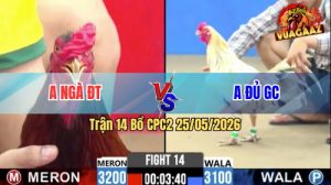 Trận 14 CPC2 25/05/2026 - Gà Anh Đủ Khiến Đối Thủ Quay Đầu Bỏ Chạy
