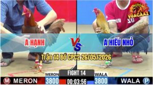 Trận 14 CPC2 26/05/2026 - Gà Khét Anh Hạnh Đá Chưa Tới 1 Tay Nước