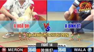 Trận 14 CPC2 27/05/2026 - Gà Anh Bình Đá Canh Chặn Quá Khéo Léo