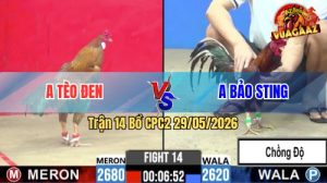 Trận 14 CPC2 29/05/2026 - Anh Bảo Sting Làm Thịt Anh Tèo Dễ Dàng