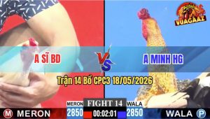 Trận 14 CPC3 18/05/2026 - Anh Minh Hậu Giang Hạ Đẹp Anh Anh Sĩ BD