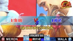 Trận 14 CPC3 21/05/2026 - Gà Khét Hiệu Anh Vũ VT Ra Quân