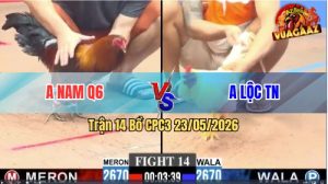 Trận 14 CPC3 23/05/2026 - Anh Nam Q6 Làm Thịt Gọn Anh Lộc TN