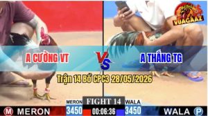 Trận 14 CPC3 28/05/2026 - Gà Que Gồng Gánh Cứu Chủ 1 Màn Thua