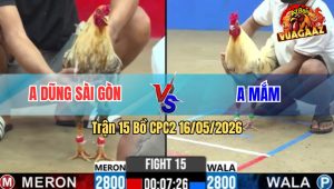 Trận 15 Bồ CPC2 16/5/2026 - Dũng Sài Gòn Quay Trở Lại Và Lợi Hại Hơn Xưa Lên Lớp Nhẹ Nhàng