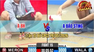 Trận 15 CPC2 19/05/2026 - Idol Bảo Sting Chơi Ngông Chấp 8 Chấm
