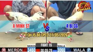 Trận 15 CPC2 27/05/2026 - Gà Bướm Anh Minh Sóc Trăng Canh Chặn Quá Tốt