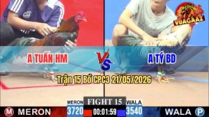 Trận 15 CPC3 21/05/2026 - Gà Anh Tý BD Đá Cái Bo Như Xe Đụng