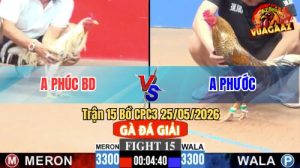 Trận 15 CPC3 25/05/2026 - Gà Bướm Anh Phúc BD Đâm Quá Dã Man