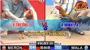 Trận 15 CPC3 31/05/2026 - Gà Điều Má Minh Siết Mấy Chân Đỏ Lên Đường