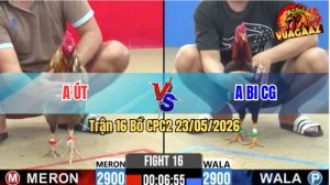 Trận 16 CPC2 23/05/2026 - Gà Bông Anh Út Canh Chặn Đúng 1 Cây Hiểm