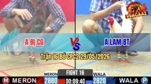 Trận 16 CPC2 29/05/2026 - Gà Anh Làm BT Có Pha Lật Kèo Phút Cuối