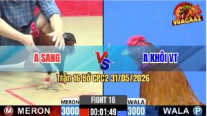 Trận 16 CPC2 31/05/2026 - Gà Anh Sang Có Pha Giao Chân Quá Hay