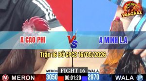 Trận 16 CPC3 16/05/2026 - Gà Anh Minh Long An Tải Cựa Quá Khủng Khiếp