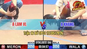 Trận 16 CPC3 17/05/2026 - Gà Que Anh Khang Gồng Gánh Tới Phút Cuối
