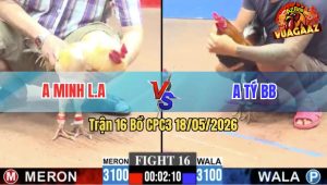 Trận 16 CPC3 18/05/2026 - Anh Tý BB Làm Thịt Luôn Anh Minh Long An