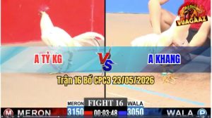 Trận 16 CPC3 23/05/2026 - Gà Bướm Anh Tỷ KG Thắng Tang Phút Cuối