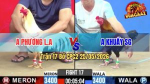 Trận 17 CPC2 25/05/2026 - Gà Điều Anh Khuầy SG Đá Đúng 2 Chân