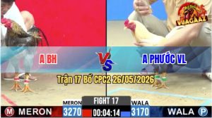 Trận 17 CPC2 26/05/2026 - Gà Anh Phước Đá Đòn Cựa Quá Hiểm Hóc