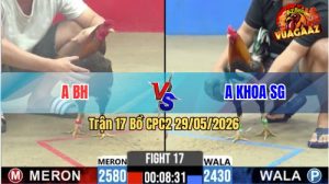 Trận 17 CPC2 29/05/2026 - Gà Anh BH Đá Siết 1 Hơi Lụm Tiền