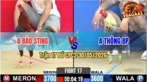 Trận 17 CPC2 30/05/2026 - Idol Bảo Sting Được Phen Bao Bồ Húp Đậm