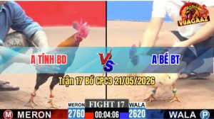 Trận 17 CPC3 21/05/2026 - Anh Tính BD Lụm Gọn Anh Bé Bến Tre