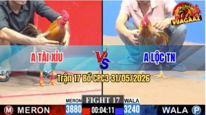 Trận 17 CPC3 31/05/2026 - Gà Khét Nặng Hơn 8 Chấm, Đá Hết Phản