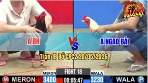 Trận 18 CPC2 20/05/2026 - Gà Úa Anh Ngao Bái Đẹp Mã Mà Thua Đau