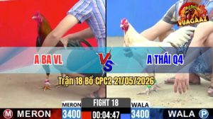 Trận 18 CPC2 21/05/2026 - Gà Anh Ba VL Đá Siết Thắng Nhanh Gọn