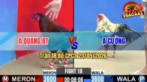 Trận 18 CPC2 23/05/2026 - Anh Cường Đánh Bại Anh Quang BT Dễ Dàng