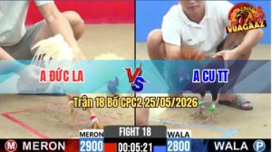 Trận 18 CPC2 25/05/2026 - Gà Úa Anh Đức Long An Đâm Cựa Quá Tịch