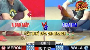 Trận 18 CPC2 26/05/2026 - Gà Anh Hai Hóc Môn Hạ Anh Bảo Gục Tại Chỗ