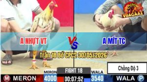 Trận 18 CPC2 30/05/2026 - Gà Anh Mít Chồng Độ 3, Bị Anh Nhựt Chấm Dứt