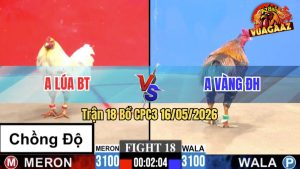 Trận 18 CPC3 16/05/2026 - Gà Bướm Anh Lúa BT Chồng Độ Lên Lớp