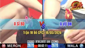 Trận 18 CPC3 18/05/2026 - Gà Úa Anh Vũ ĐN Đá Siết Đúng 1 Hơi