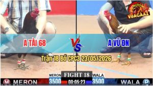 Trận 18 CPC3 23/05/2026 - Anh Vũ Đồng Nai Hạ Gọn Anh Tài 68