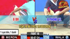 Trận 19 CPC2 19/05/2026 - Gà Anh BH Đá Cái Bo Như Xe Đụng
