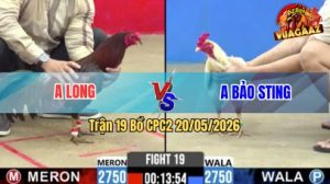 Trận 19 CPC2 20/05/2026 - Anh Bảo Sting Tiếp Tục Làm Thịt Anh Long