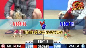 Trận 19 CPC2 25/05/2026 - Gà Cú Anh Bôn CL Có Chân Cựa Chí Mạng