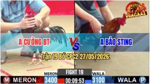 Trận 19 CPC2 27/05/2026 - Gà Bướm Idol Bảo Sting Chấp 3 Chấm Vẫn Lụm