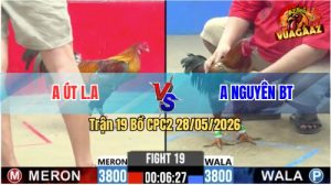 Trận 19 CPC2 28/05/2026 - Gà Phèn Anh Nguyên Bến Tre Quá May Độ