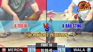 Trận 19 CPC2 29/05/2026 - Anh Tèo BL Hạ Anh Bảo Sting Xỉu Trên Tay