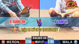 Trận 19 CPC3 17/05/2026 - Gà Điều Anh Giang Đức Hoà Đá Không Kịp Thở