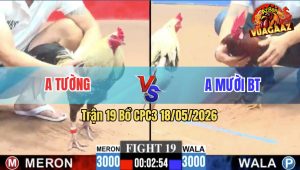 Trận 19 CPC3 18/05/2026 - Gà Điều Anh Mười BT Tránh Né Quá Khéo