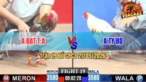 Trận 19 CPC3 21/05/2026 - Anh Ty Bình Dương Làm Thịt Anh Đạt Tân An