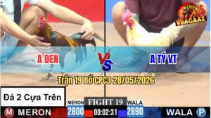 Trận 19 CPC3 28/05/2026 - Anh Tý Làm Thịt Anh Đen Nhanh Gọn