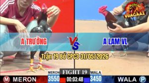 Trận 19 CPC3 31/05/2026 - Gà Que Anh Lam Đá Cựa Đâm Như Chĩa