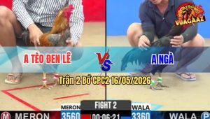 Trận 2 Bồ CPC2 16/5/2026 - Tèo Đen Lê Ra Quân Gặp Hàng Khủng Anh Ngà Đá Xỉu Tuyệt Đối
